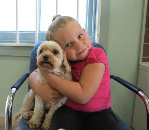 Dapto Veterinary Clinic - Vet Melbourne 4