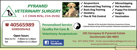 Pyramid Veterinary Surgery - Vet Melbourne 2