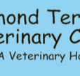 Raymond Terrace Veterinary Clinic - Vet Melbourne