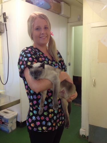 Raymond Terrace Veterinary Clinic - Vet Melbourne 1