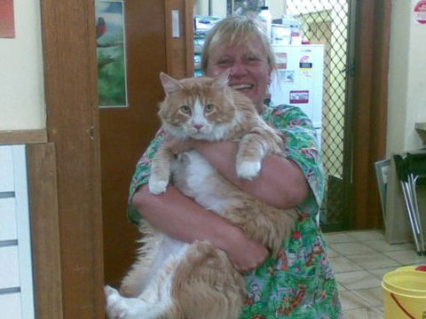 Raymond Terrace Veterinary Clinic - Vet Melbourne 2
