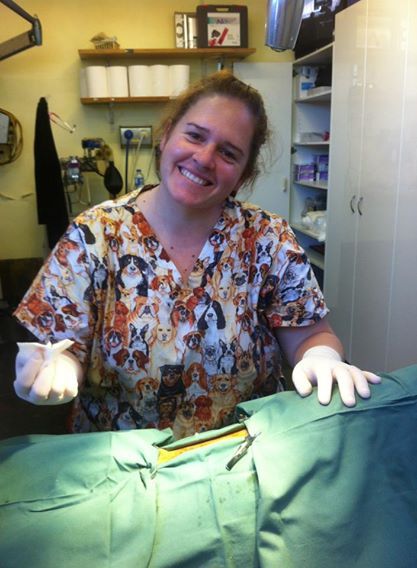 Raymond Terrace Veterinary Clinic - Vet Melbourne 4