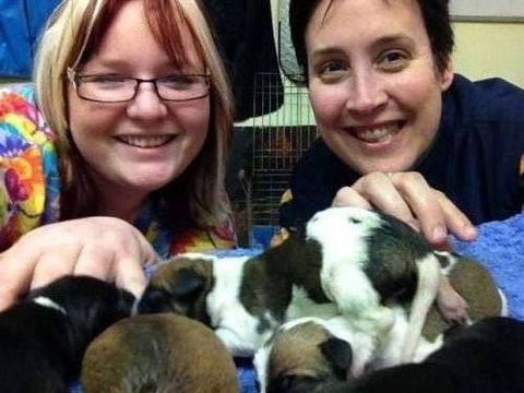 Raymond Terrace Veterinary Clinic - Vet Melbourne 5