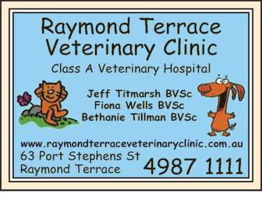 Raymond Terrace Veterinary Clinic - Vet Melbourne 6