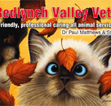 Redlynch Valley Vets - Vet Melbourne