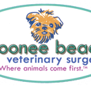 Robert Mills - Vet Melbourne