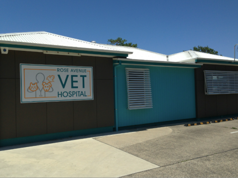 Rose Avenue Veterinary Hospital - Vet Melbourne 1