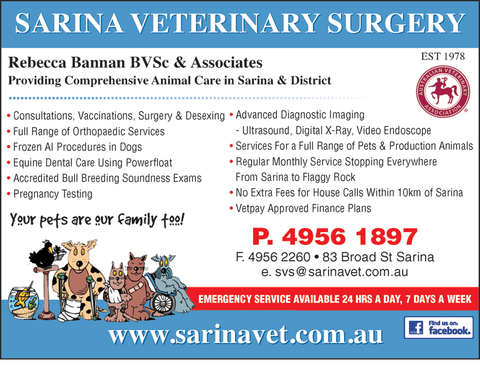 Sarina Veterinary Surgery - Vet Melbourne 1