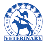 Seth McIntosh Bowen Vet - Vet Melbourne