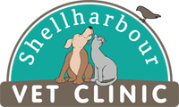 Book Shellharbour Accommodation Vacations Vet Melbourne Vet Melbourne