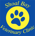 Nelson Bay NSW Vet Melbourne