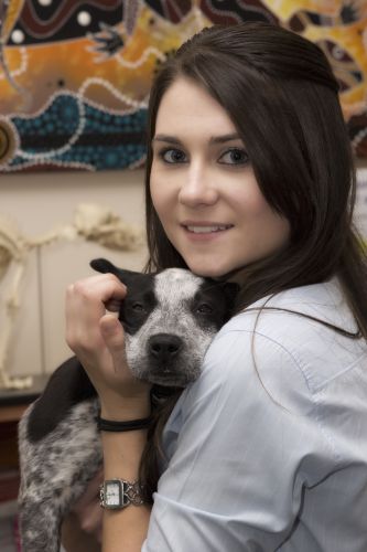 Sugarland Animal Hospital - Vet Melbourne 1