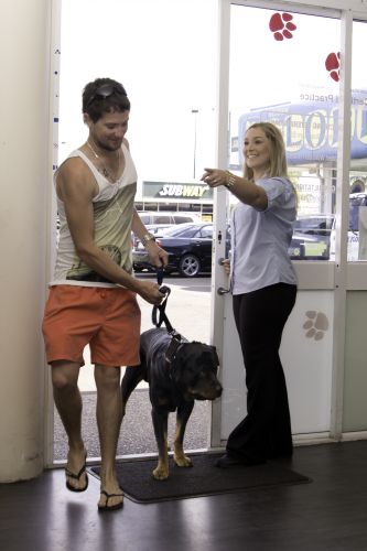 Sugarland Animal Hospital - Vet Melbourne 2
