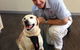 Sugarland Animal Hospital - thumb 4