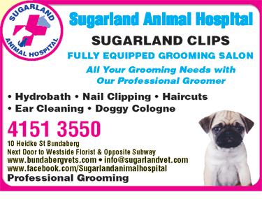 Sugarland Animal Hospital - Vet Melbourne 5