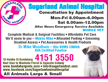 Sugarland Animal Hospital - Vet Melbourne 6