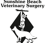 Sunshine Beach Veterinary Surgery - Vet Melbourne