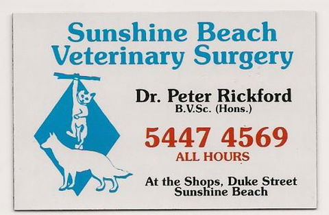 Sunshine Beach Veterinary Surgery - Vet Melbourne 1