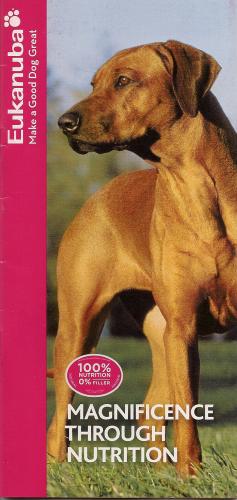 Sunshine Beach Veterinary Surgery - Vet Melbourne 2