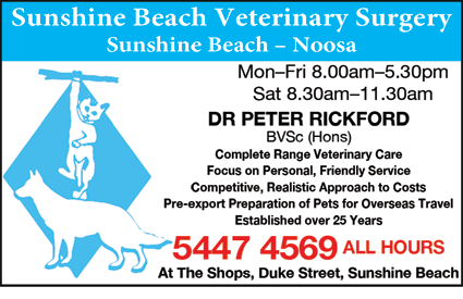 Sunshine Beach Veterinary Surgery - Vet Melbourne 6