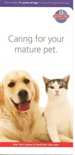 Sunshine Beach Veterinary Surgery - Vet Melbourne 11