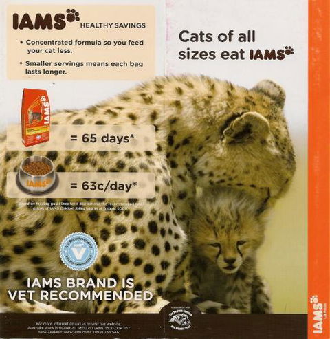 Sunshine Beach Veterinary Surgery - Vet Melbourne 13