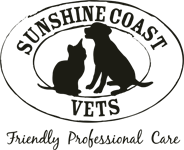  Vet Melbourne