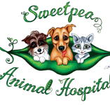 Sweet Pea Animal Hospital - Vet Melbourne