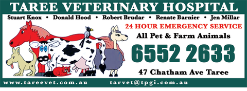 Taree Veterinary Hospital - Vet Melbourne 1