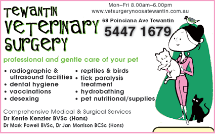 Tewantin Veterinary Surgery - Vet Melbourne 2