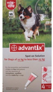 Tewantin Veterinary Surgery - Vet Melbourne 3