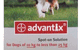 Tewantin Veterinary Surgery - thumb 7