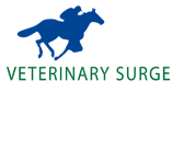 Turner Veronica Veterinary Surgeon - Vet Melbourne