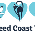Tweed Coast Vet - Vet Melbourne