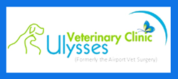  Vet Melbourne
