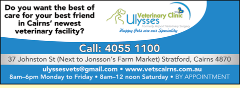 Ulysses Veterinary Clinic Cairns - Vet Melbourne 4
