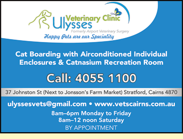 Ulysses Veterinary Clinic Cairns - Vet Melbourne 5