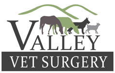 Valley Vet Surgery Mackay - Vet Melbourne 0