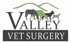 Valley Vet Surgery - Vet Melbourne 0