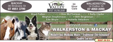 Valley Vet Surgery - Vet Melbourne 8