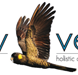 Vitality Vetcare - Vet Melbourne