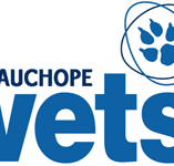 Wauchope Vets - Vet Melbourne