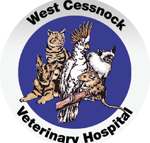 West Cessnock Veterinary Hospital - Vet Melbourne