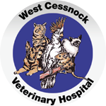 West Cessnock Veterinary Hospital - Vet Melbourne 0
