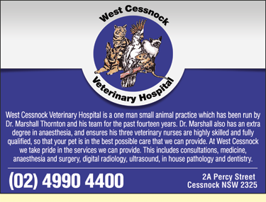 West Cessnock Veterinary Hospital - Vet Melbourne 1