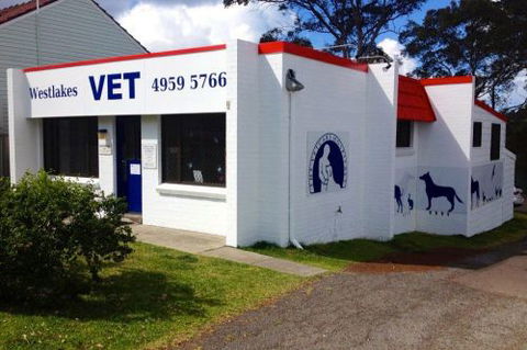 Westlakes Vet Hospital - Vet Melbourne 1