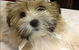 Westlakes Vet Hospital - thumb 5