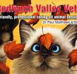 Wilson Karen - Vet Melbourne