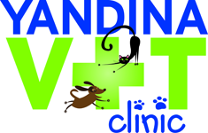 Maroochy River QLD Vet Melbourne