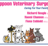 Yeppoon Veterinary Surgery - Vet Melbourne